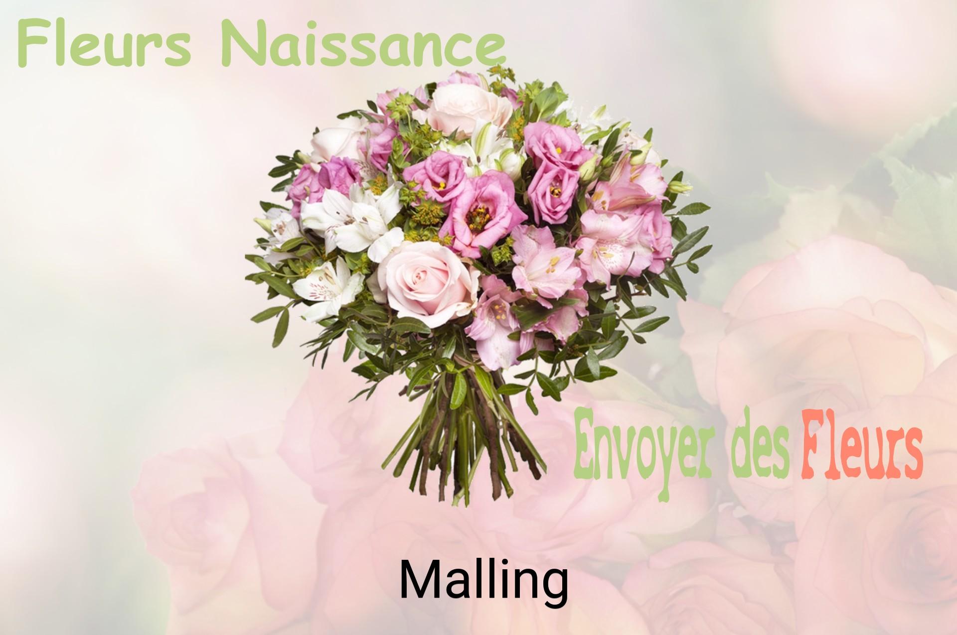 Bouquet de fleurs de naissance livré à Malling